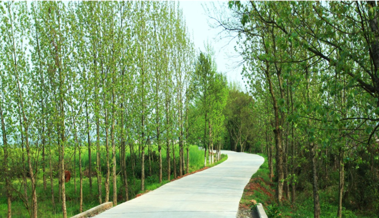 江西信豐縣工業(yè)園科之光路（緯二路）新建大道、產(chǎn)業(yè)大道北段一期工程設(shè)計(jì)、施工總承包（EPC）